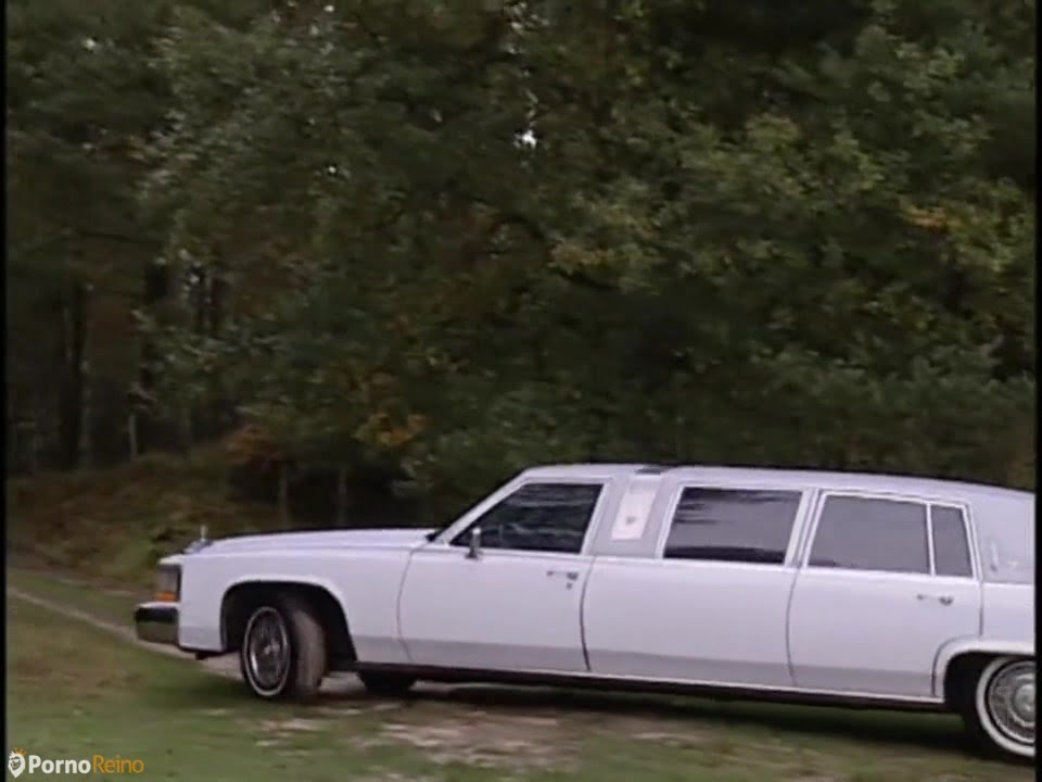 2 Women Fucked by Driver In The Limousine